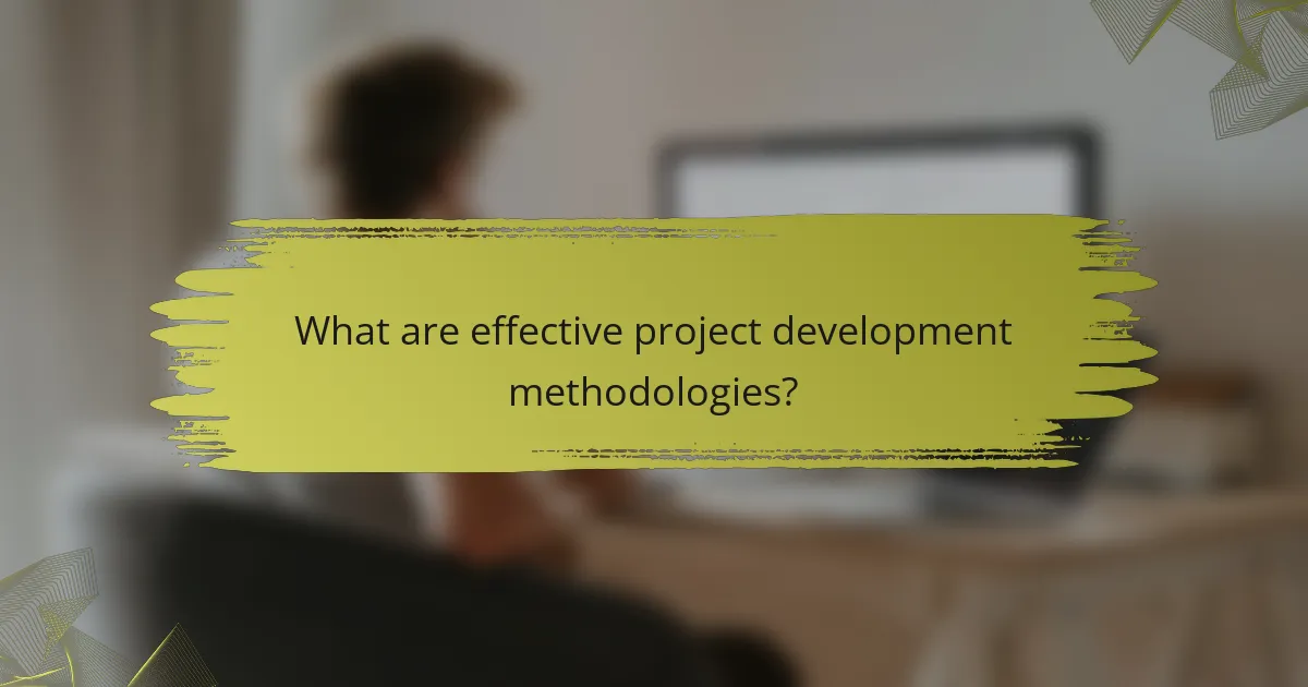 What are effective project development methodologies?