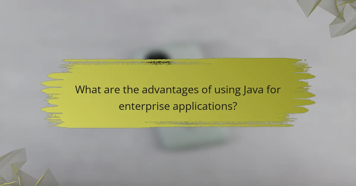 What are the advantages of using Java for enterprise applications?